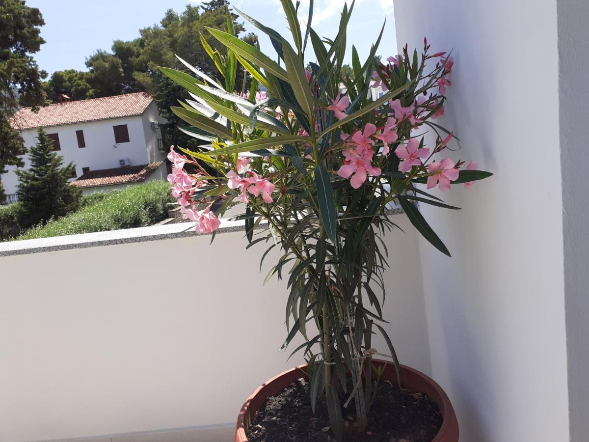 Apartmani Miletic Jelsa  Bagian luar foto